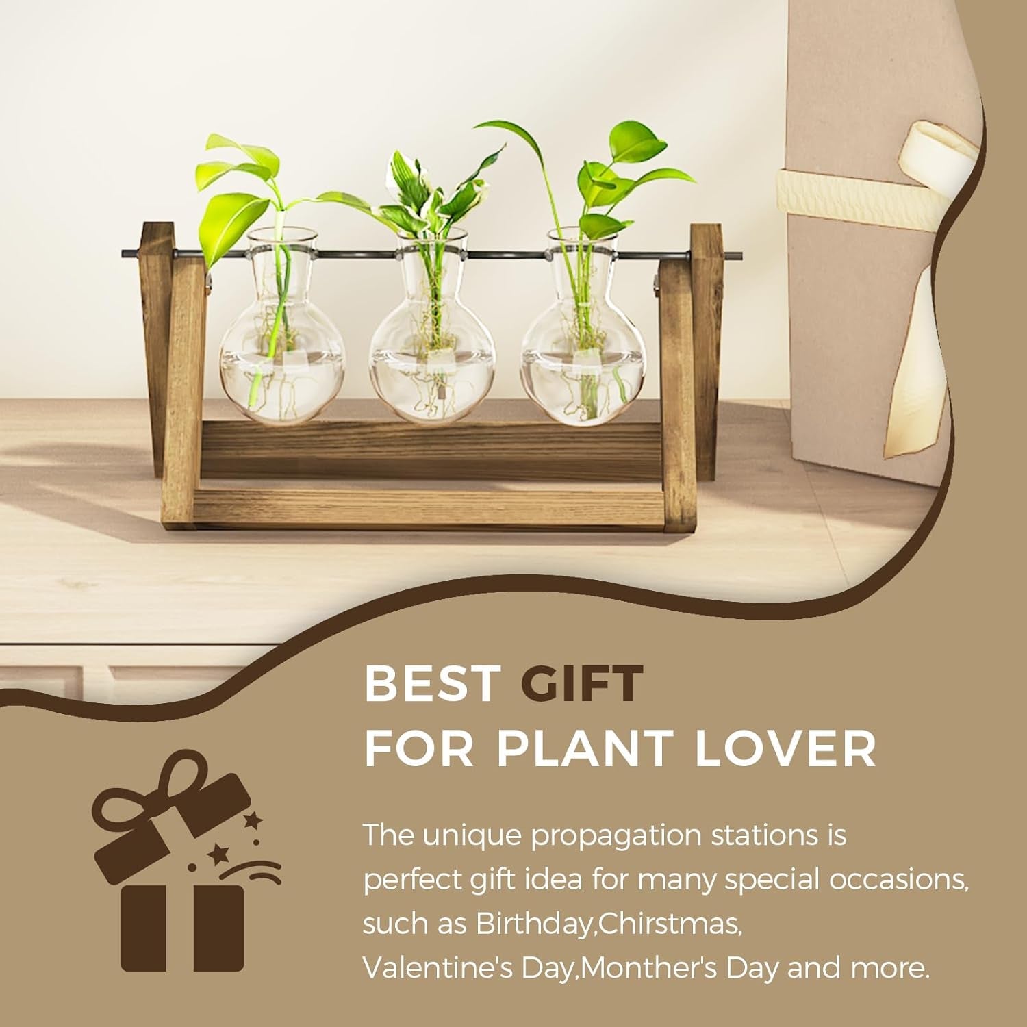 Stacja do rozmnażania hydroponicznego Bamworld z drewnianym stojakiem - 3 szklane wazony do uprawy roślin wodnych i dekoracji wnętrz