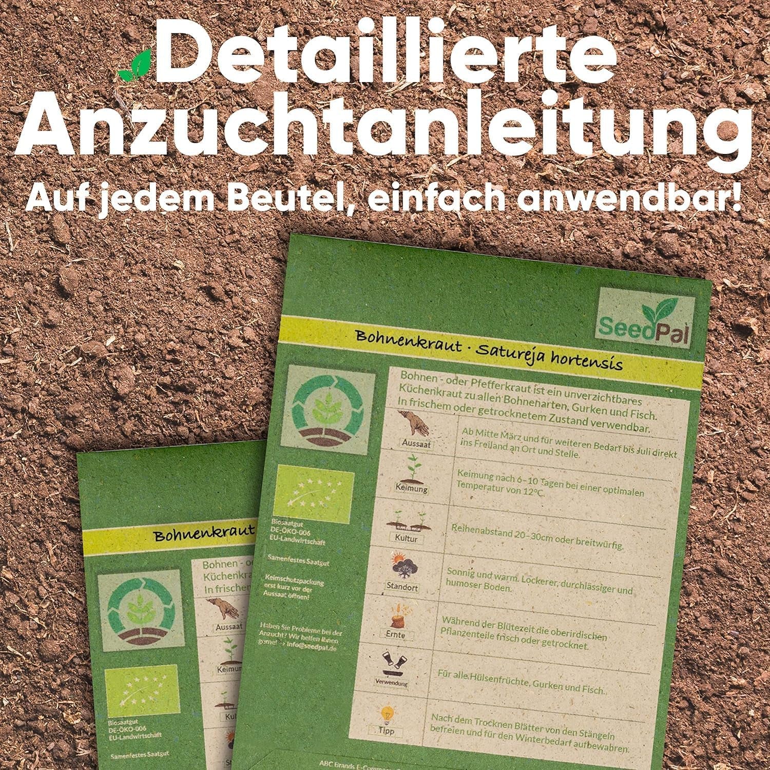 Zestaw Kräutersamen - 12 Beliebtesten Küchenkräuter - Kräuter der Provence, włoski Kräuter - Kräutergarten für Küche oder Balkon - Samen Saatgut - Gartenkräuter Sorten