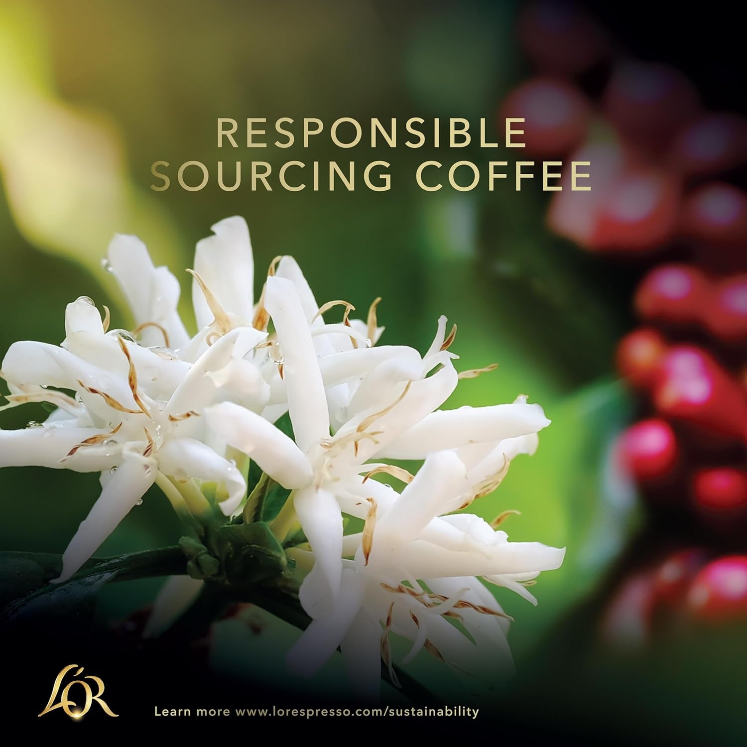 L'OR Barista Kaffeekapseln Ristretto, exklusiv für L'OR Barista Maschinen, 5er Pack, 5 x 10 Kapseln