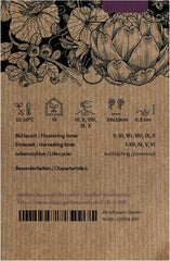 Guter Heinrich (Chenopodium Bonus-Henricus) 90 Bio-Samen Wilder Spinat