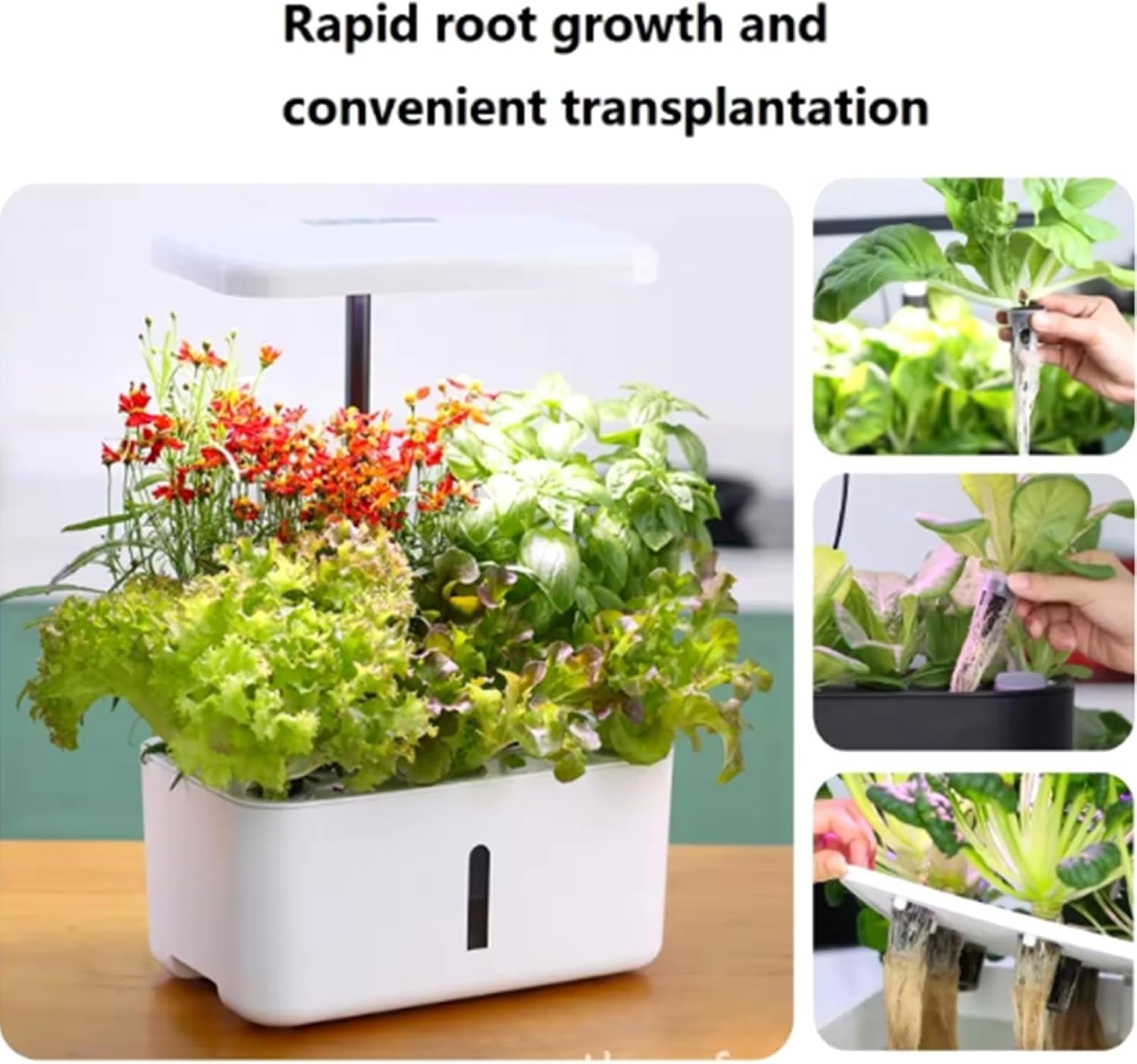 50 wymiennych gąbek do uprawy, probówki do zakładania nasion, zatyczki do gąbek do uprawy korzeni, zestawy do uprawy hydroponicznej do systemów uprawy hydroponicznej, hydroponika wewnętrzna, ogród