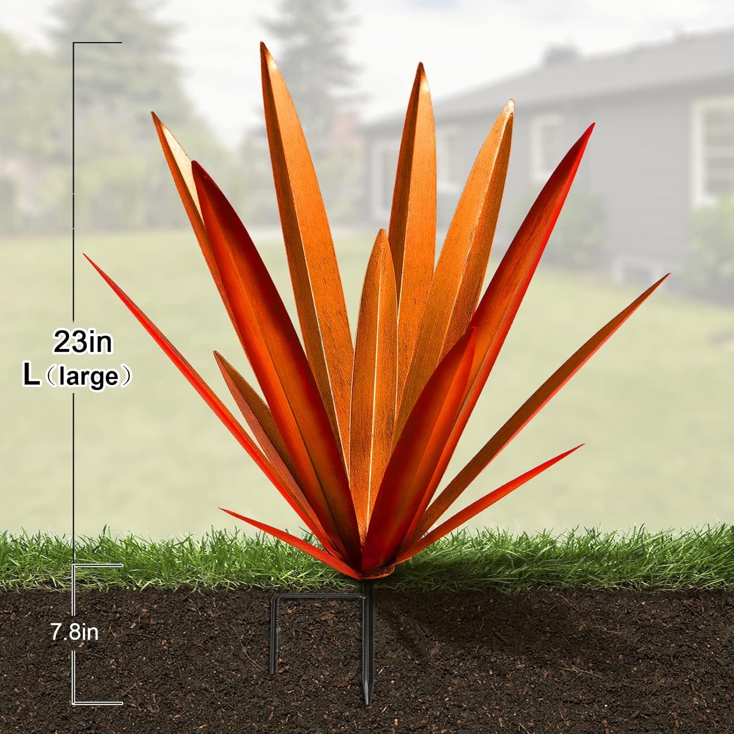 Agave Pflanze (Groß-Rot)