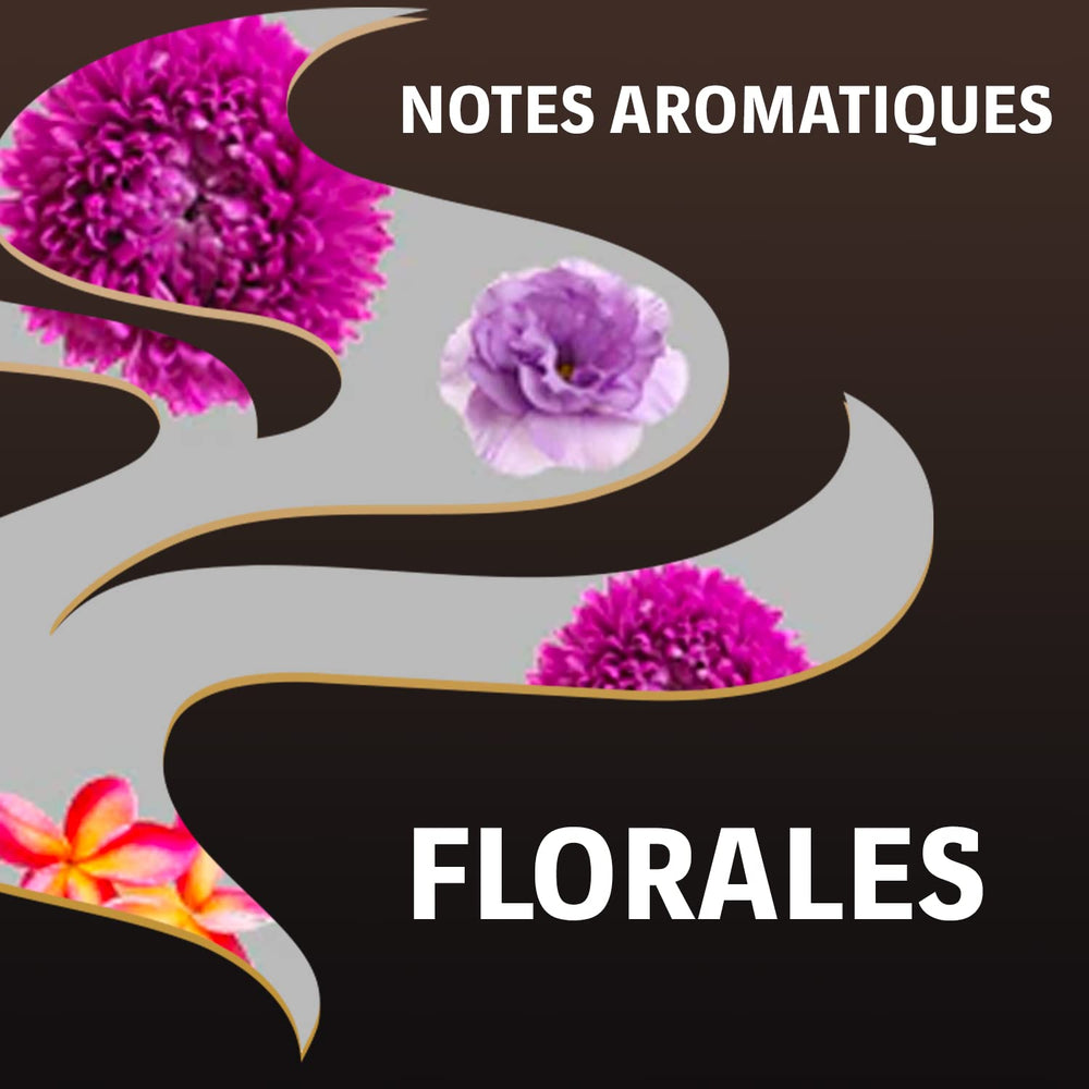 LAVAZZA - Espresso Barista Perfetto - Boabe de cafea - 100% Arabica - Italiană - Intensitate 6 - 2 pachete a câte 1 kg fiecare (ambalajul poate varia)