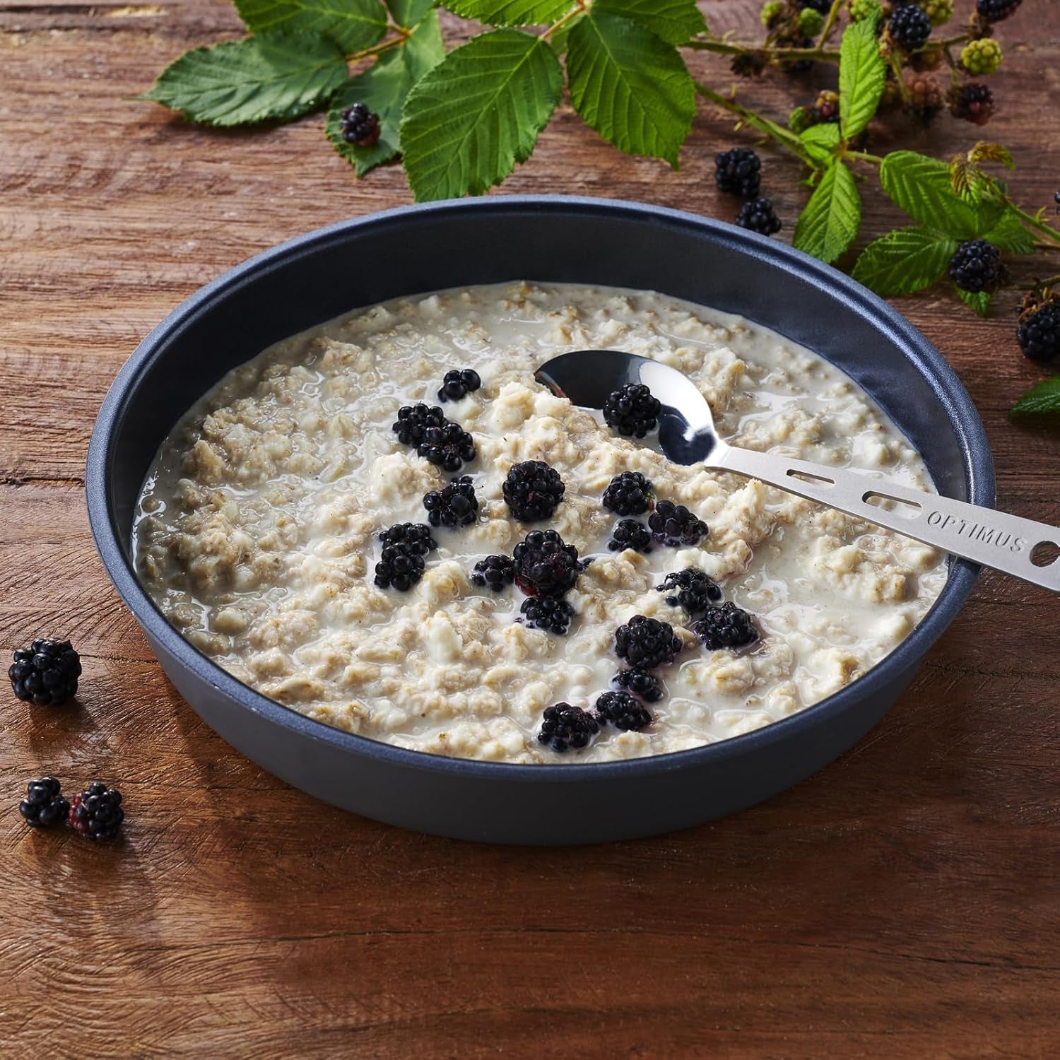 Trek'n Eat Protein Owsianka – wysokobiałkowe śniadanie na świeżym powietrzu | Stół liofilizowany na kemping, wędrówki i wyprawy | Sycące, szybkie w przygotowaniu, idealne w podróży