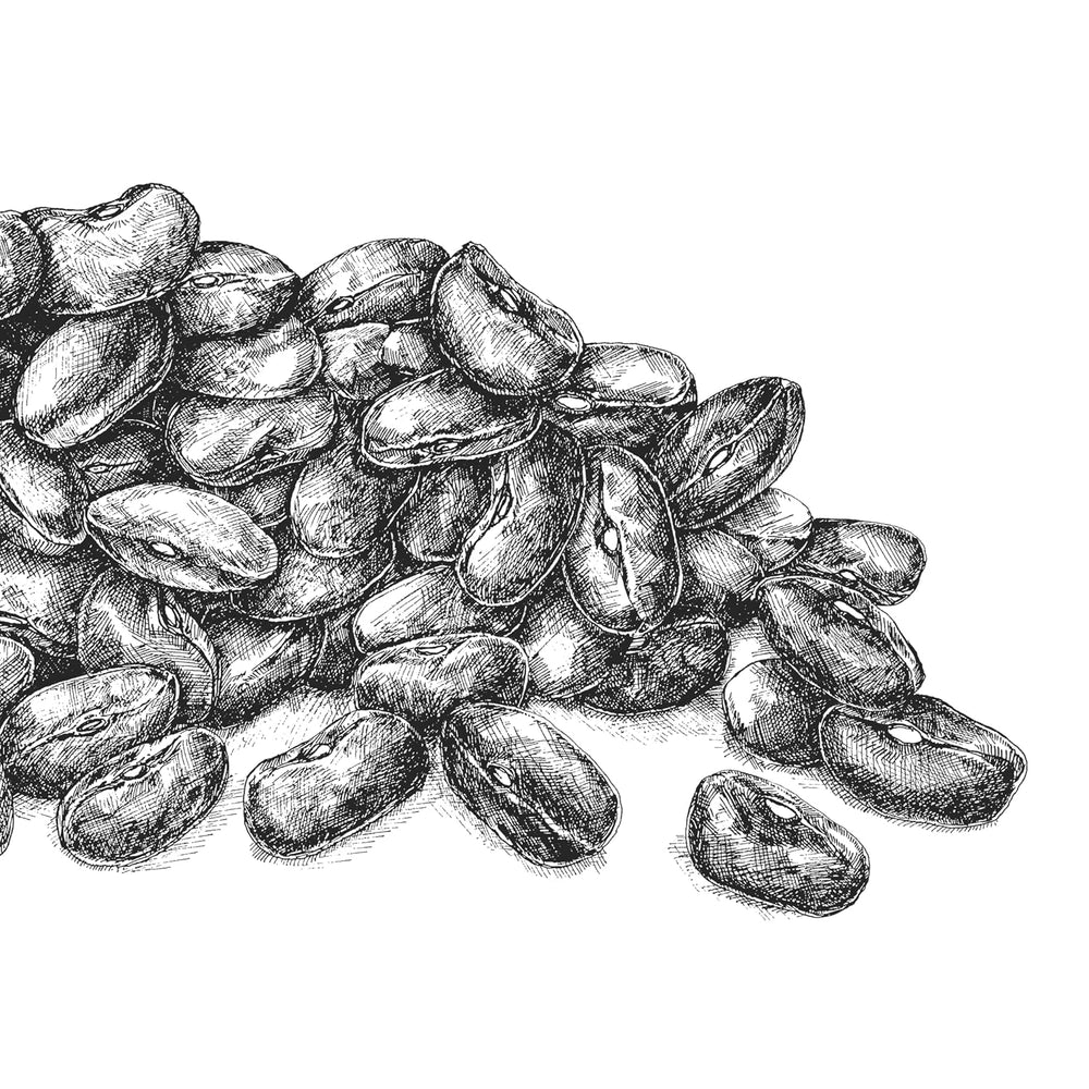 Kasza Gryczana BioGourmet Demeter – torebka 500g | Bezglutenowe, wysokobłonnikowe i regionalne | Z niemieckiego rolnictwa organicznego (Badenia-Wirtembergia/Bawaria) | Idealne do musli, sałatek i dodatków