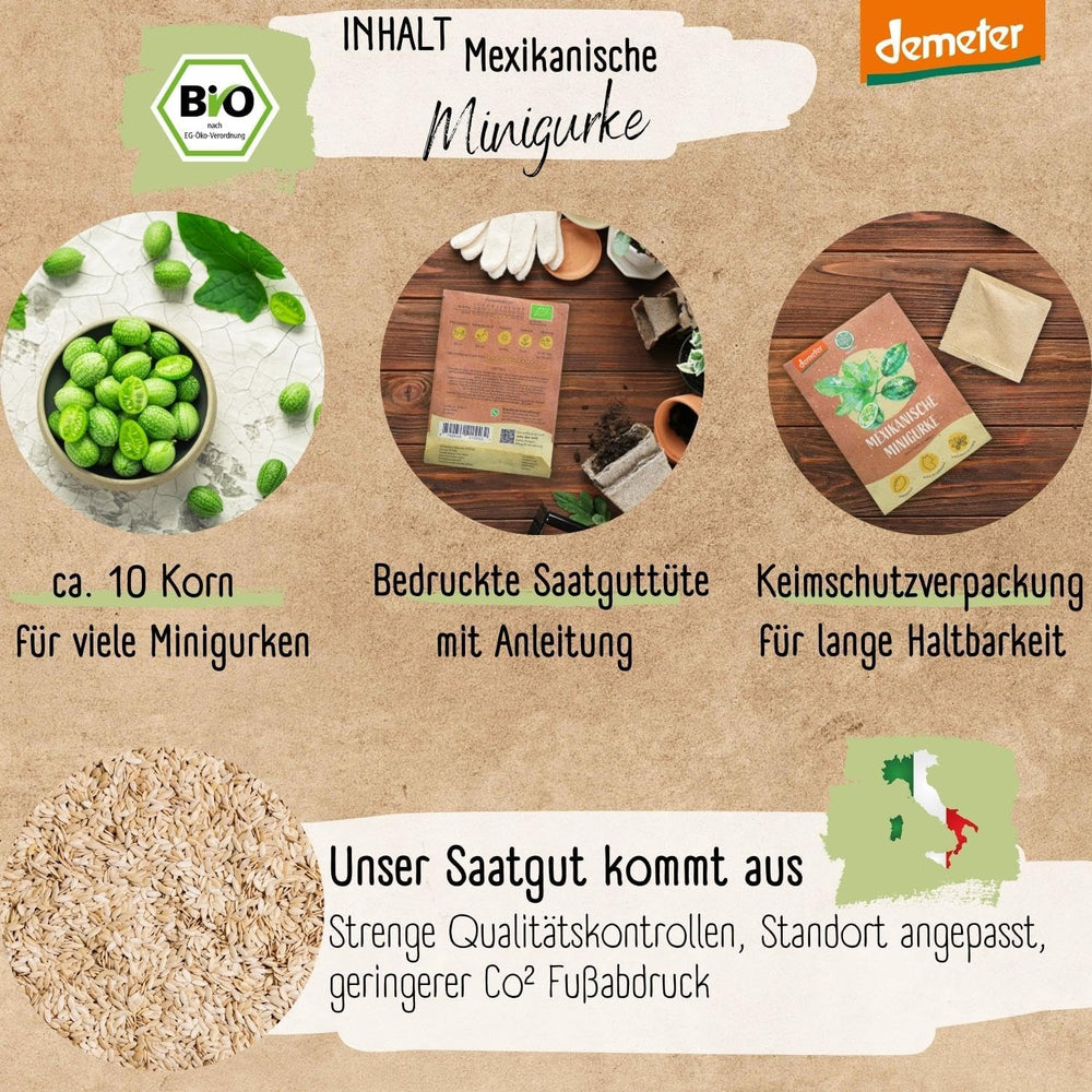 Organiczne nasiona ogórka meksykańskiego Mini, 10 nasion ogórka przekąskowego, wysoka zdolność kiełkowania, certyfikat Demeter i zapylanie otwarte | LOVEPLANTS Balkon Ogród Podwyższone Nasiona Warzyw - Schedyczne Odmiany Warzyw
