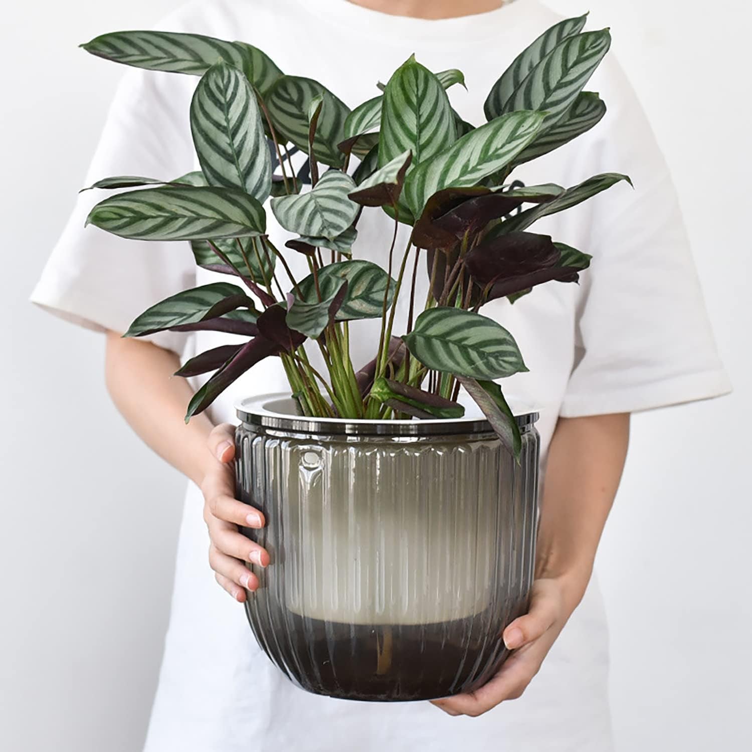 Zestaw 2 samonawadniających się wiszących donic, wisząca doniczka o średnicy 16,5 cm z 3 haczykami i otworami drenażowymi do użytku wewnątrz i na zewnątrz, dekoracja sufitu, balkonu i ściany (szara)