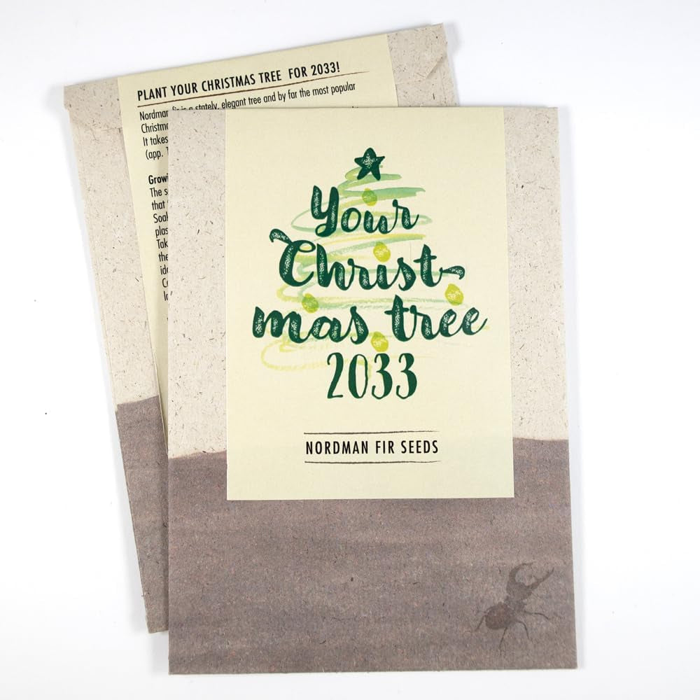 "Dein Christbaum 2033" - Nordmanntannen-Samen Zum Anpflanzen Des Eigenen Weihnachtsbaums in Umweltfreundlicher Graspapiertüte