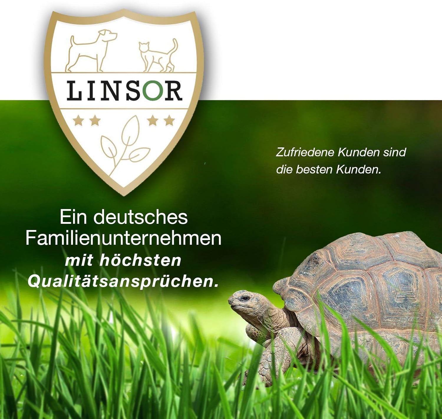 Universalrasen, 1Kg Für 25 M², Rasenmischung, Grassamen Sattgrün, Frühjahr Aussaat