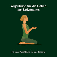 Yogi Tea - Armonie verde, ceai ayurvedic organic cu mirodenii și plante, amestec de ceai verde, lemongrass, mentă, Yogi Tea pachet de 3, 3X17 pliculețe (51 pliculețe de ceai în total), ideal ca cadou