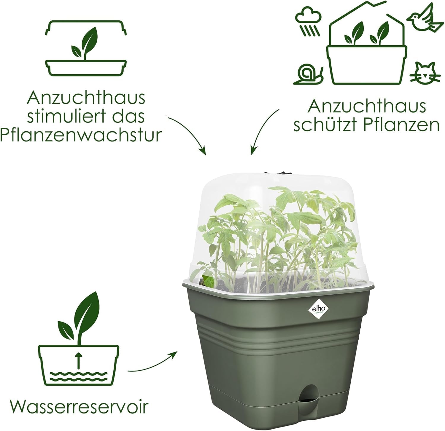 elho Green Basics Ghiveci Pătrat pentru Răsaduri Allin1 15 - Ghiveci pentru Flori pentru Cultivare - 100% Plastic Reciclat - Ø 15.0 x H 12.1 cm - Verde/Verde Frunză