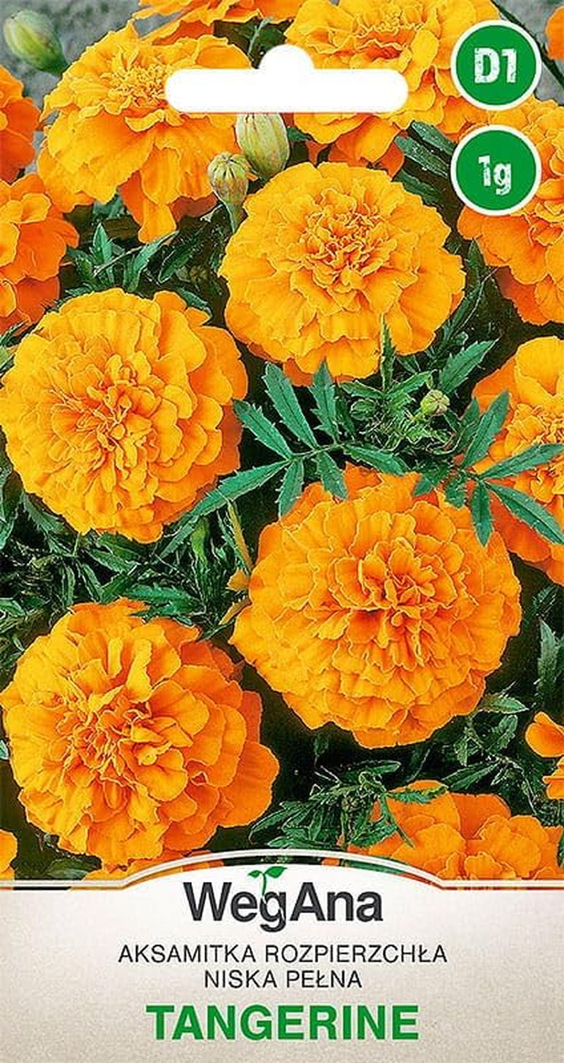 Cosmos Sensation Mix 1g nasion, Cosmos Mix Kwiaty letnie, Rośliny ogrodowe Rośliny balkonowe, Nasiona kwiatów