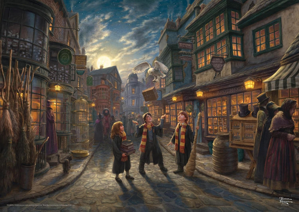 Wizarding World Harry Potter Diagon Alley Puzzle Naty Shop