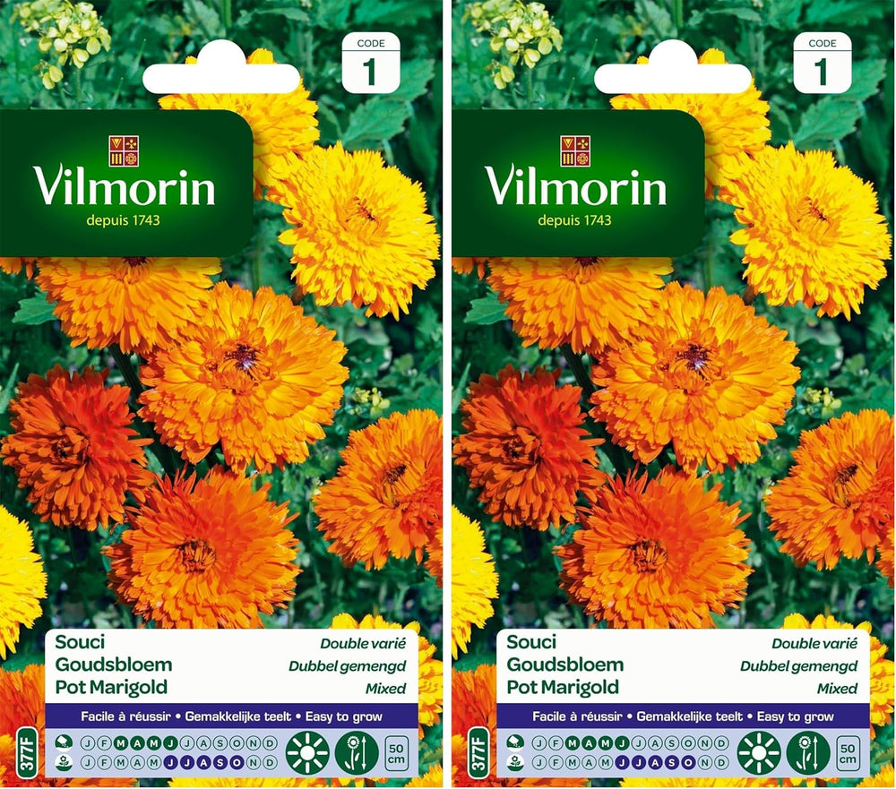 5791041 Ringelblume Zweifarbig, 90 X 2 X 160 Cm