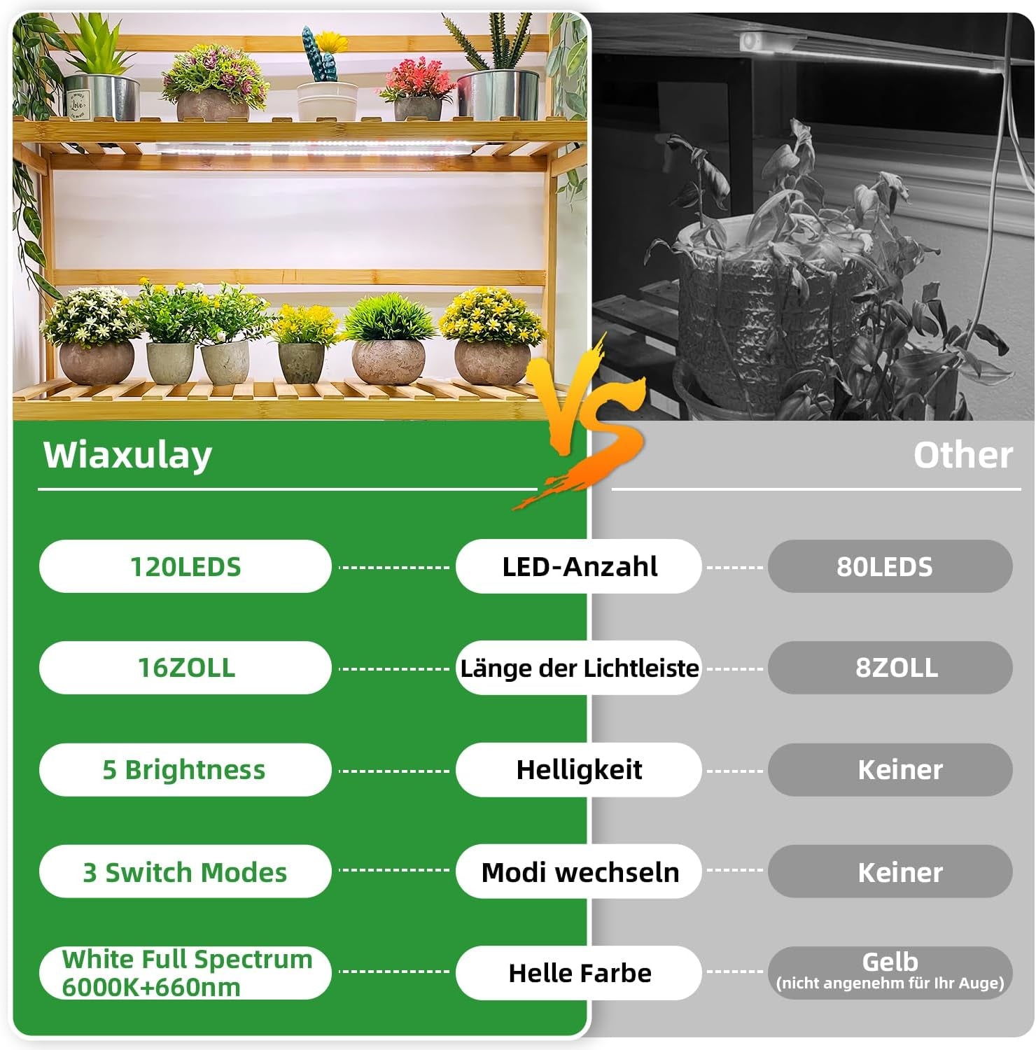 Wiaxulay Lampa LED o pełnym spektrum działania 6000 K Pełne spektrum Oświetlenie do uprawy roślin w pomieszczeniach z zegarem 6/12/16 godzin 5 poziomów regulowanych dla sukulentów hydroponicznych Półka na rośliny 2 szt.