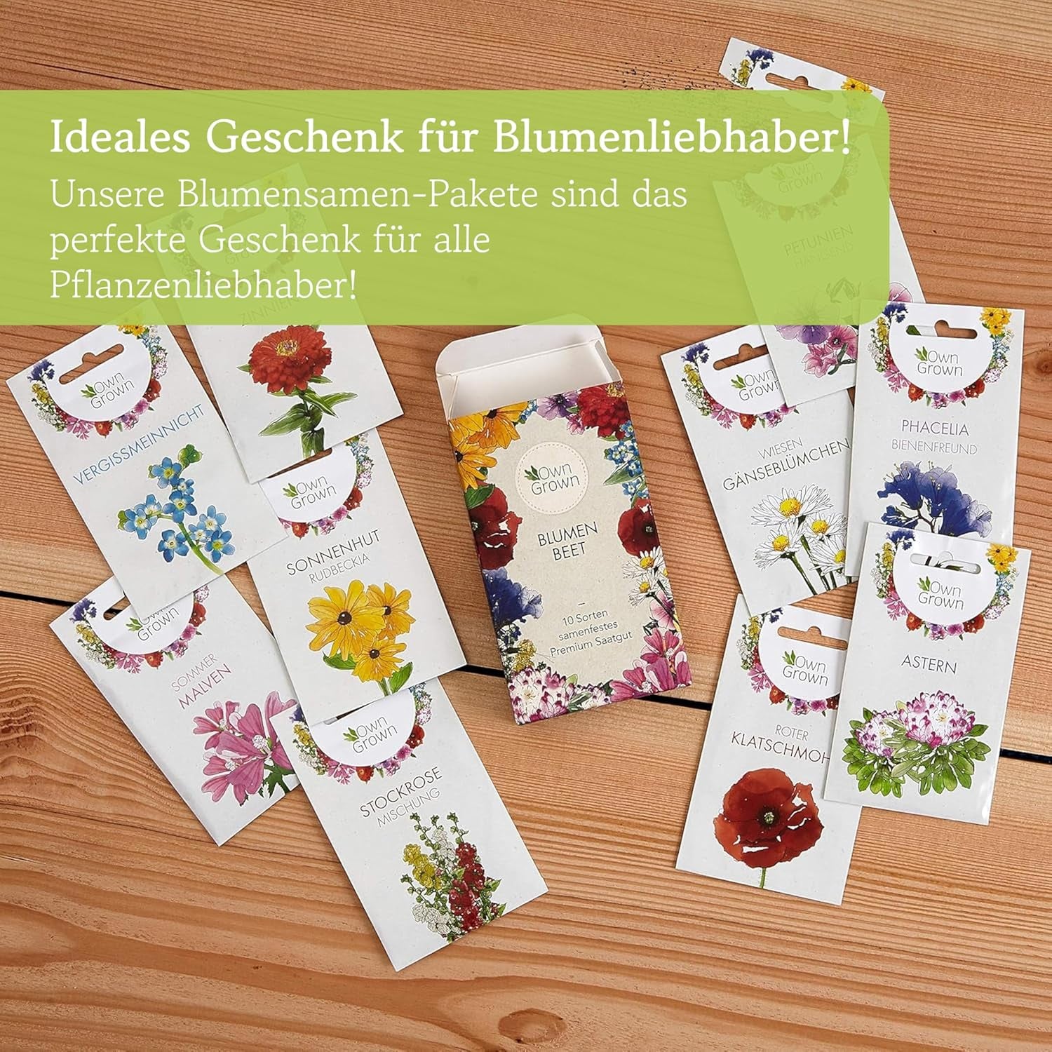 Nasiona Echinacei: Wysokiej jakości nasiona żółtej Echinacei na około 20 kwitnących roślin Echinacei – Nasiona Rudbekii – Hardy Rudbeckia – Echinacea Bylina – Hardy Bylina od OwnGrown