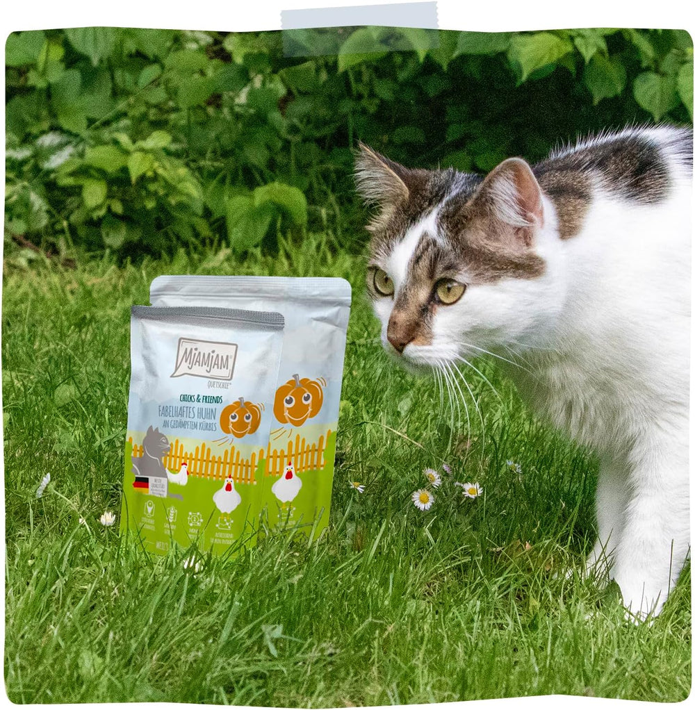 MjAMjAM - Quetschie - Chicks & Friends fabelhaftes Huhn an gedämpftem Kürbis 12 x 125g