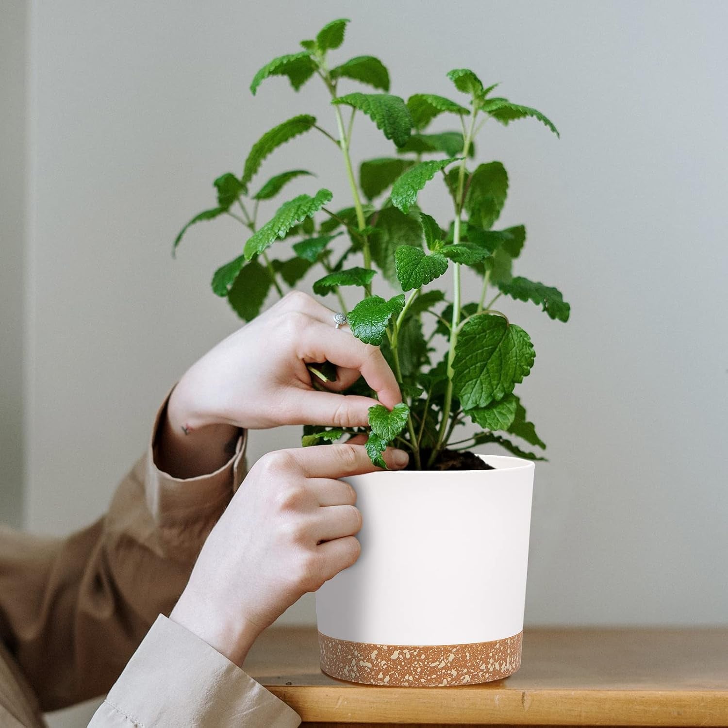 Zestaw 2 doniczek o średnicy 12,7 cm, doniczki doniczkowe z otworami drenażowymi i zdejmowaną podstawą, nowoczesne dekoracyjne podstawki do donic ogrodowych na zewnątrz (białe 12,7 cm)