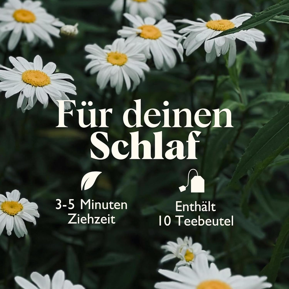 Twinings SWEET DREAMS Ceai de mușețel cu miere, portocale și flori de tei - Amestec dulce de ceaiuri din plante pentru îmbunătățirea naturală a calității somnului, pachet de 12 (10 pliculețe fiecare)