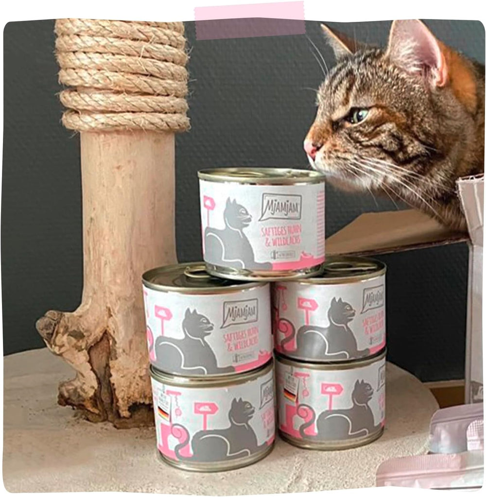 MjAMjAM - Hrană umedă premium pentru pisici - pui suculent și somon sălbatic, pachet de 6 (6 x 400 g), fără cereale cu carne suplimentară