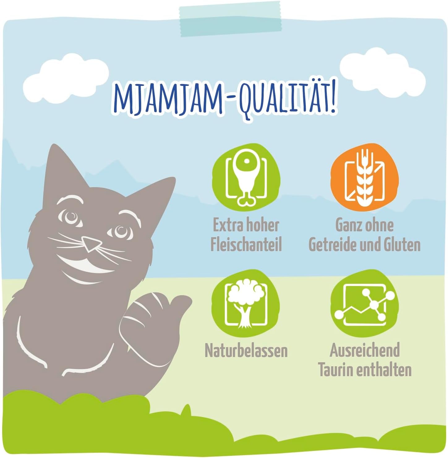 MjAMjAM - Hrană umedă premium pentru pisici - păstrăv rafinat cu pui suculent, pachet de 6 (6 x 400g), fără cereale