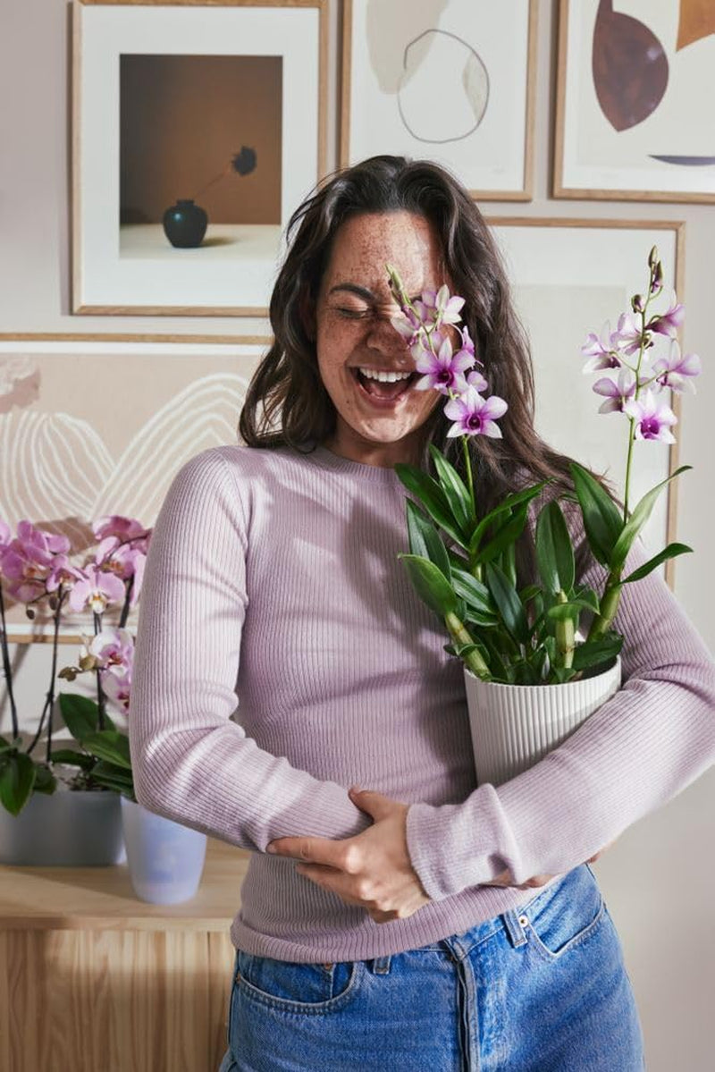 elho Vibes Fold Orchid High 12.5cm – Ghiveci pentru orhidee de interior – Ghivece de flori de interior – Plastic 100% reciclat – Alb/Alb mătăsos