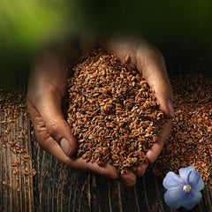 Biocentralne całe nasiona lnu | 7 x 400g organicznych nasion lnu | Idealny do jogurtu, musli i chleba | Alternatywa dla nasion babki płesznik, nasion konopi i nasion chia