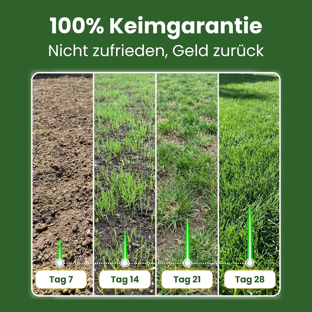 LERAVA® EXPRESS Rasensamen Schnellkeimend Frühjahr (30M²) - Premium Samen Für Trockenrasen & Schattenrasen - Rasensamen Nachsaat Für Lückenlosen Rasen - Grassamen Schnellkeimend - Rasensaat Turbo -