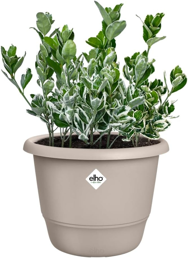 elho Amiga Round 30 - Ghiveci pentru flori pentru interior și exterior - 100% plastic reciclat - Ø 29,5 x H 20,2 cm - Bej/Bej Ciupercă