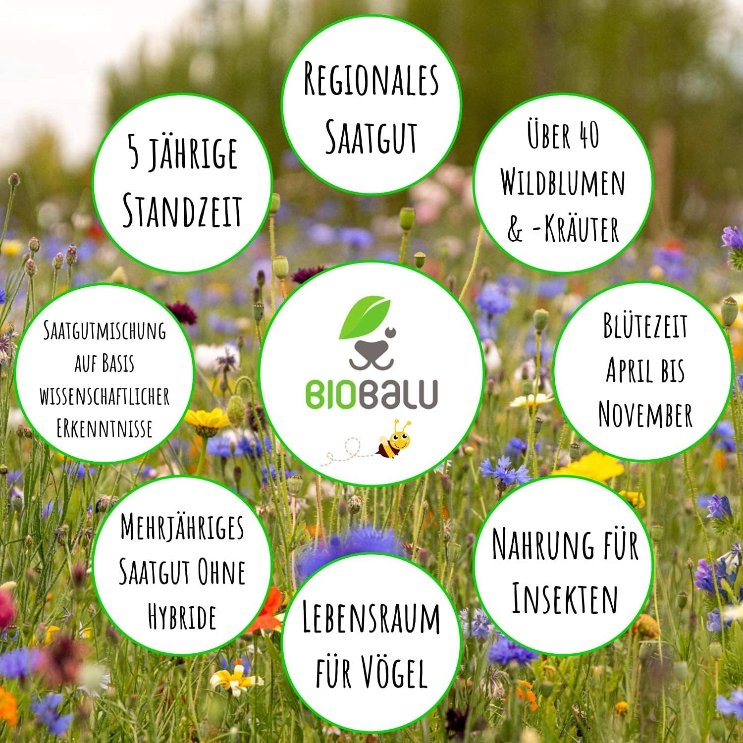 Bienenweide Samentütchen - Blumenwiesensamen Mehrjährig - Blumensamen Als Hochzeitsgeschenk, Gastgeschenk, Werbegeschenk, Werbeartikel Personalisiert (100 X 4G)
