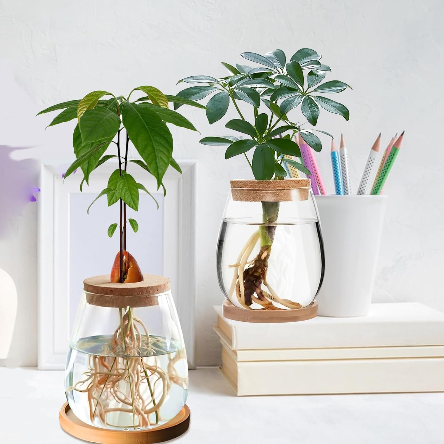 Stacja do uprawy roślin hydroponicznych 12x11 cm Wazon z nasionami awokado Szklana sadzarka Hydroponiczny szklany wazon na rośliny wodne lub kwiaty Biurko Wystrój stołu 2 szt.
