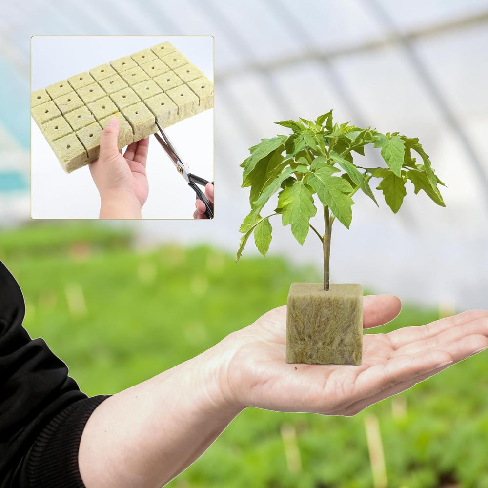 100 kostek rozsadowych z wełny mineralnej 25x25x25mm z rękawiczkami Izolacja z wełny mineralnej Kostki do rozsadzania z łatwą wtyczką Hydroponika Kostki z wełny mineralnej Sadzonki Rozmnażanie bezglebowe