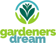 Marzenie ogrodnika: 4 rośliny Real Tillandsia - 4 rośliny powietrzne Real Tillandsia - Rośliny do terrariów - Rośliny do terrariów dekoracyjnych - Rośliny doniczkowe oczyszczające powietrze - Rośliny dekoracyjne - Prawdziwe rośliny