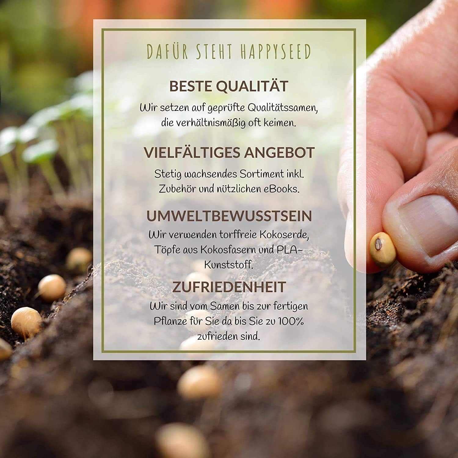 100g nasion dzikich kwiatów na kolorowe pastwisko dla pszczół - żywa i bogata w nektar mieszanka nasion dzikich kwiatów dla pszczół i motyli (zawiera DARMOWY eBook)