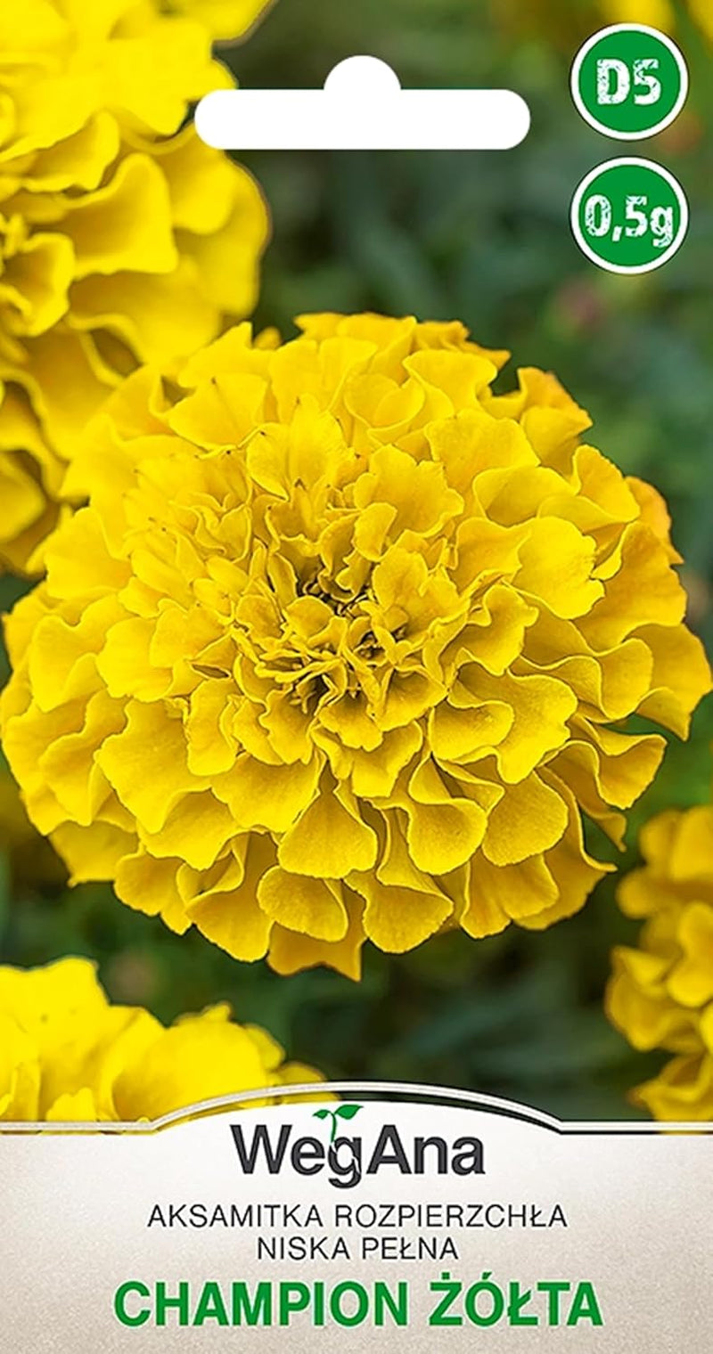 Cosmos Sensation Mix 1g nasion, Cosmos Mix Kwiaty letnie, Rośliny ogrodowe Rośliny balkonowe, Nasiona kwiatów