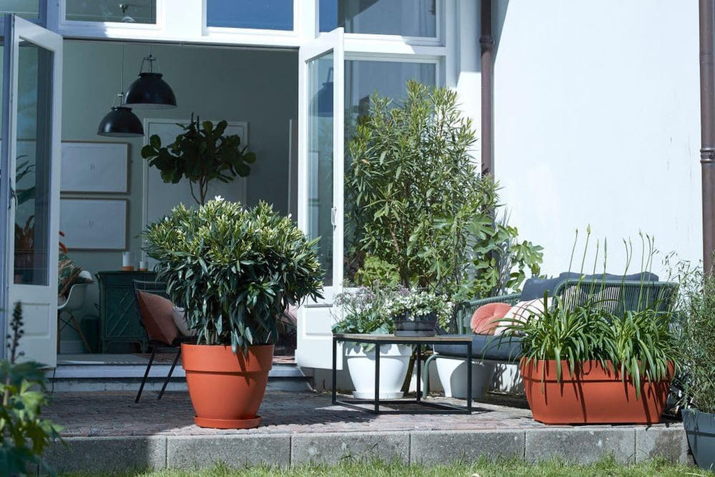 elho Vibia Campana Bowl 27 - Ghiveci de flori pentru exterior - Ø 27,0 x H 14,0 cm - Negru/Antracit