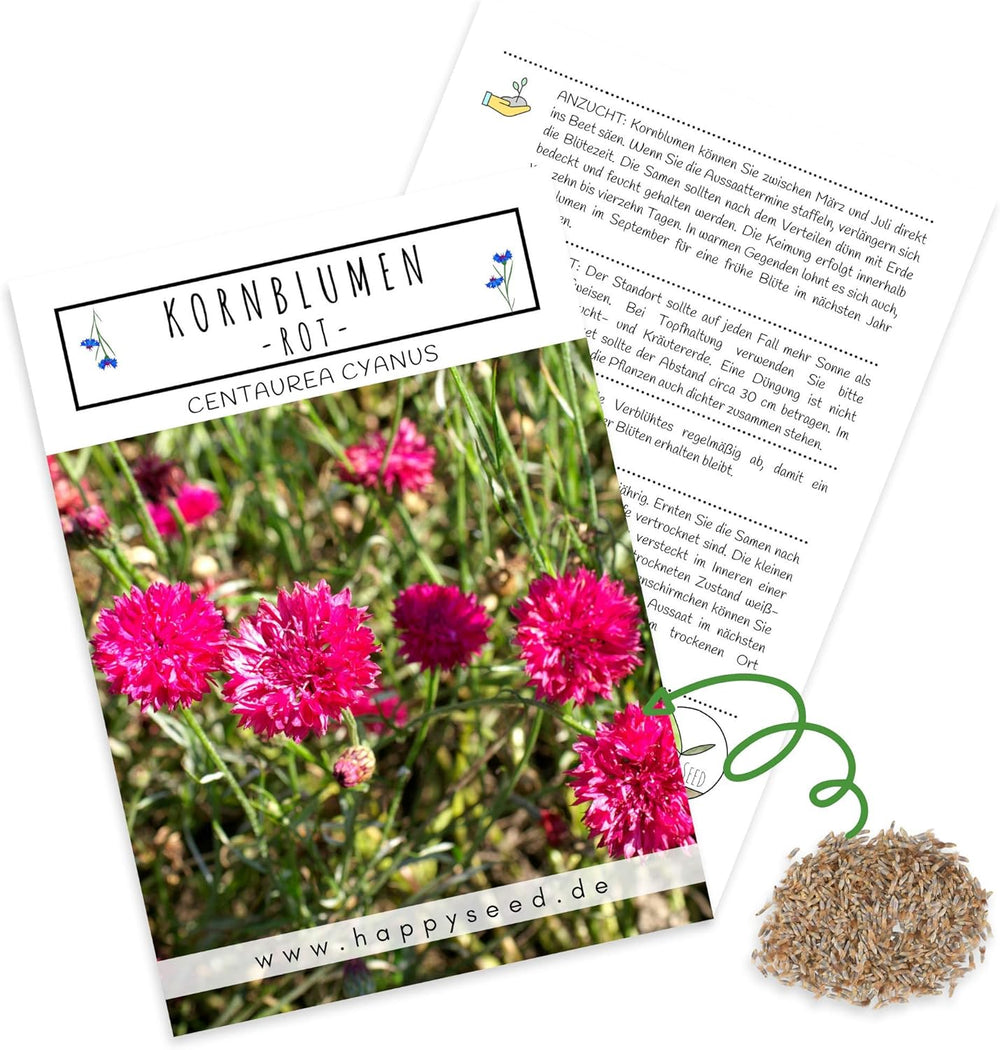 Nasiona Centaurea cyanus - Piękne i żywe kwiaty o długim okresie kwitnienia na kolorową łąkę kwietną (Mix, 1000 nasion, 80 cm)