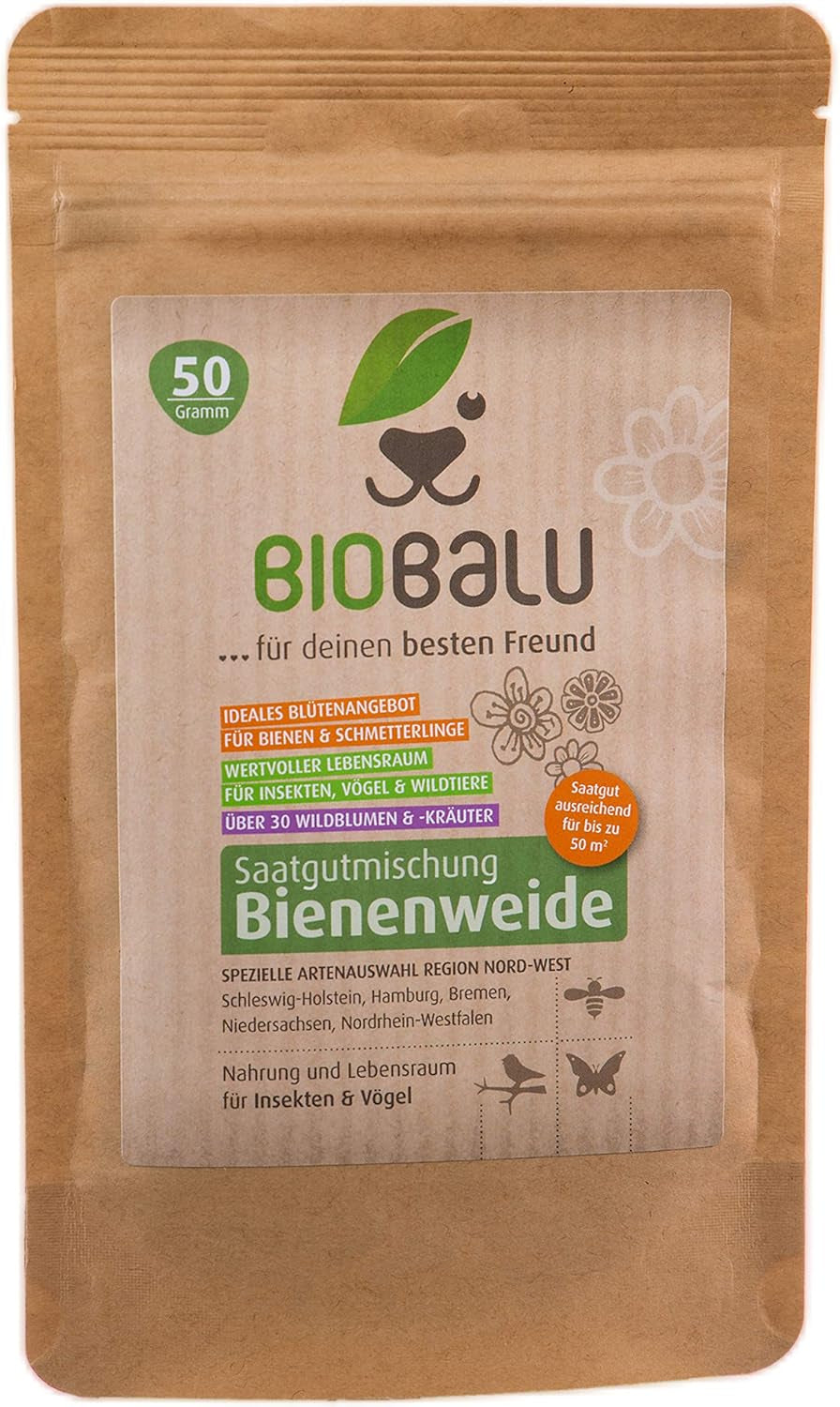 Nasiona pszczół - kwiaty łąkowe, wieloletnie i odporne na zimę, nasiona - ponad 40 rodzimych kwiatów i dzikich ziół, specjalny dobór gatunków dla południowych Niemiec, 50g