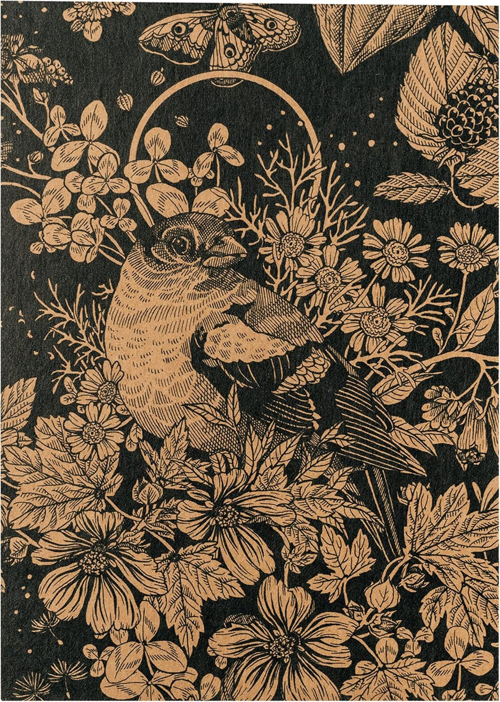 Nasze ulubione rośliny: byliny i kwiaty letnie dla miłośników kwiatów (organiczne) - zestaw upominkowy z nasionami zawierający 6 uroczych odmian zapewniających dziką eksplozję kwiatów - sprawi, że będziesz szczęśliwy!