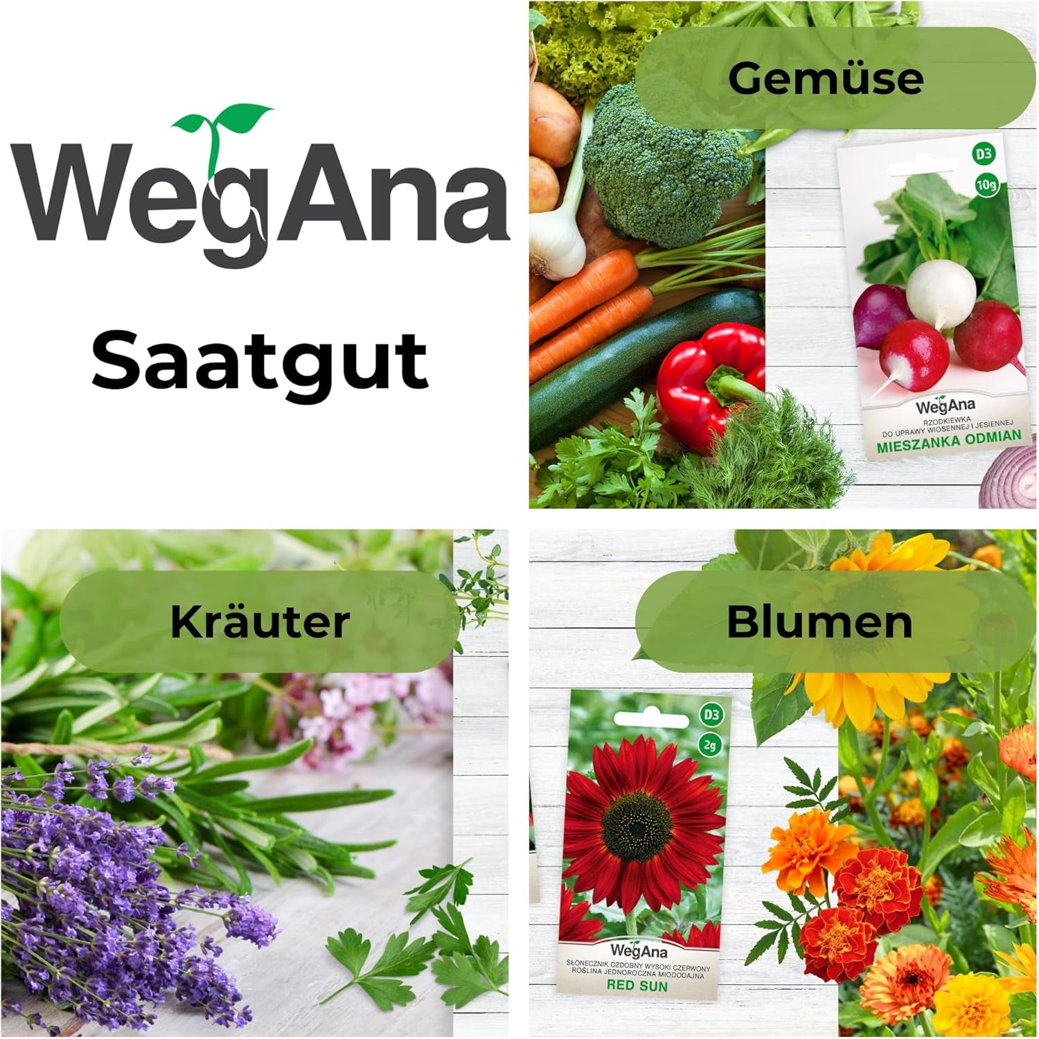 Cosmos Sensation Mix 1g nasion, Cosmos Mix Kwiaty letnie, Rośliny ogrodowe Rośliny balkonowe, Nasiona kwiatów