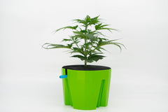 Hydro Farmer, 19-częściowy zestaw doniczek Ø 18 cm (zielony), system uprawy obejmujący 4 doniczki, 4 pierścienie do podlewania, 4 pokrywki, zestaw adapterów i wąż 2 m, hydroponika, aeroponika