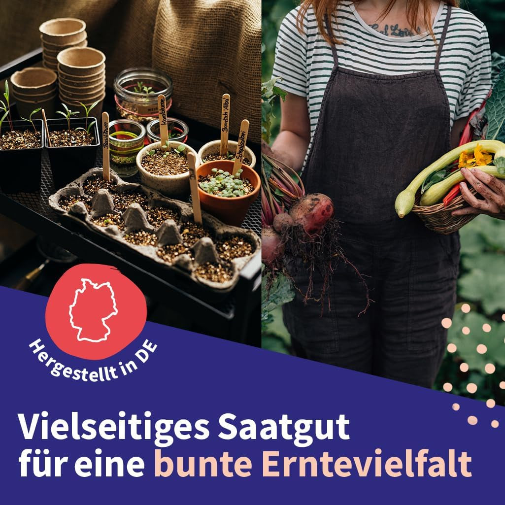 Nasiona Magic Garden - Środkowoeuropejski zestaw nasion roślin leczniczych - 12 tradycyjnych odmian popularnych roślin leczniczych - Odmiany scheda - Akcesoria ogrodowe - Nasiona roślin - Prezent dla miłośników ogrodu