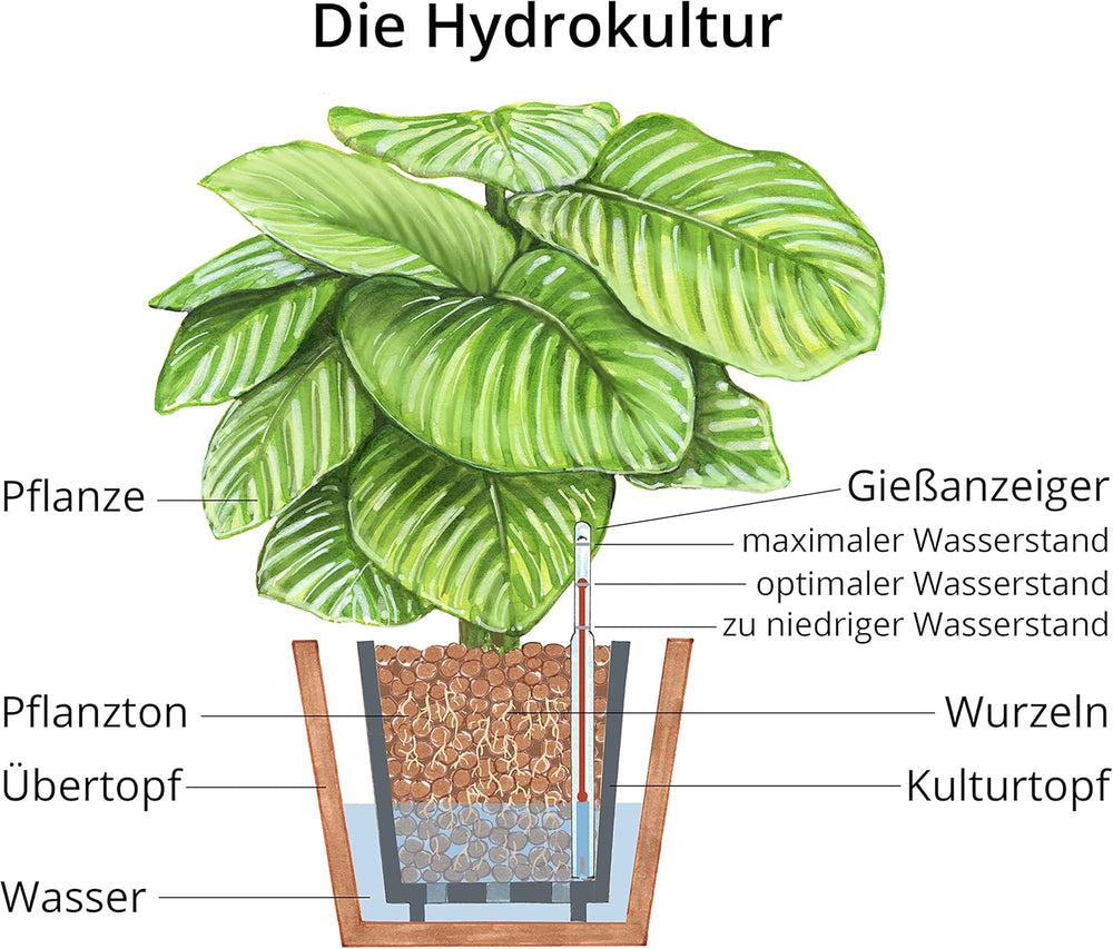 Dehner Glina do sadzenia, 10 l, ziarnistość 4/8 mm, rozmiar uniwersalny