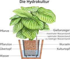 Dehner Glina do sadzenia, 10 l, ziarnistość 4/8 mm, rozmiar uniwersalny