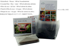 SAFLAX - Garden in the Bag - Schwarzer Maulbeerbaum - 200 Samen - Mit Anzuchtsubstrat Im Praktischen, Selbst Aufstellenden Beutel - Morus Nigra