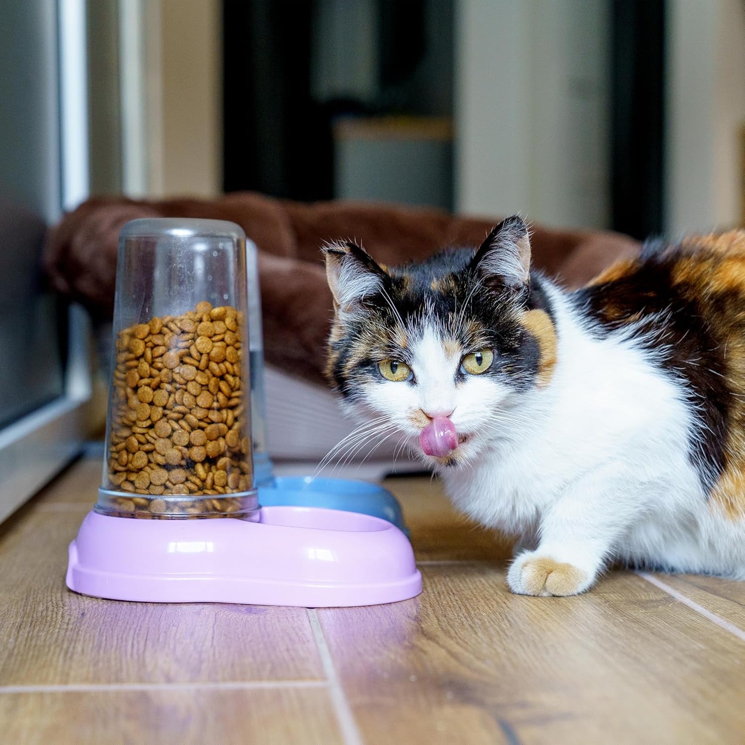 Ferplast Futter- oder Wasserspender für Hunde und Katzen AZIMUT 600 Futtertrog Woda 0,6 litra, Rutschfester Boden, 12,5 x 19 x wys. 19,5 cm niebieski