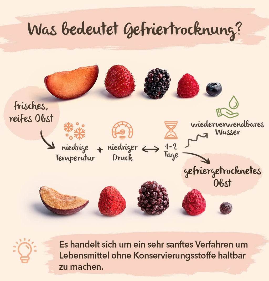 BRIX Mango liofilizat | Natural, felii de mango uscat 95 g | Great Taste Award fructe uscate, mango liofilizat | Fără OMG, fără gluten, vegan, vitamine reținute Produse deshidratate Naty Shop