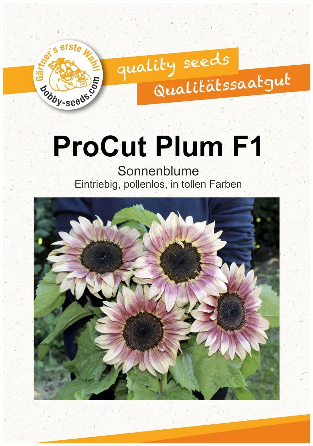 Procut White Night F1 Sonnenblumensamen Von Bobby-Seeds Portion