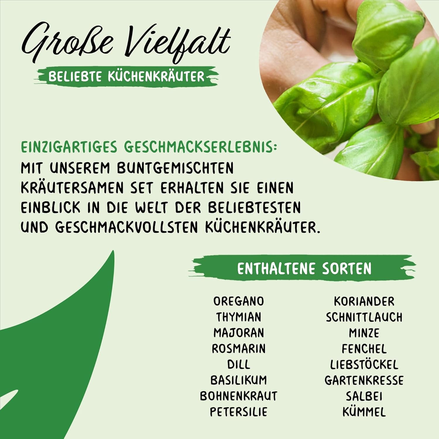Prademir – Kräutersamen Set aus 16 beliebten Küchenkräutern – Kräuter Anzuchtset mit 100% Natursamen aus Portugal – Kräuter Saatgut aus Oregano, tymianek, majeranek, rozmaryn, koper, bazylika, szałwia uvm