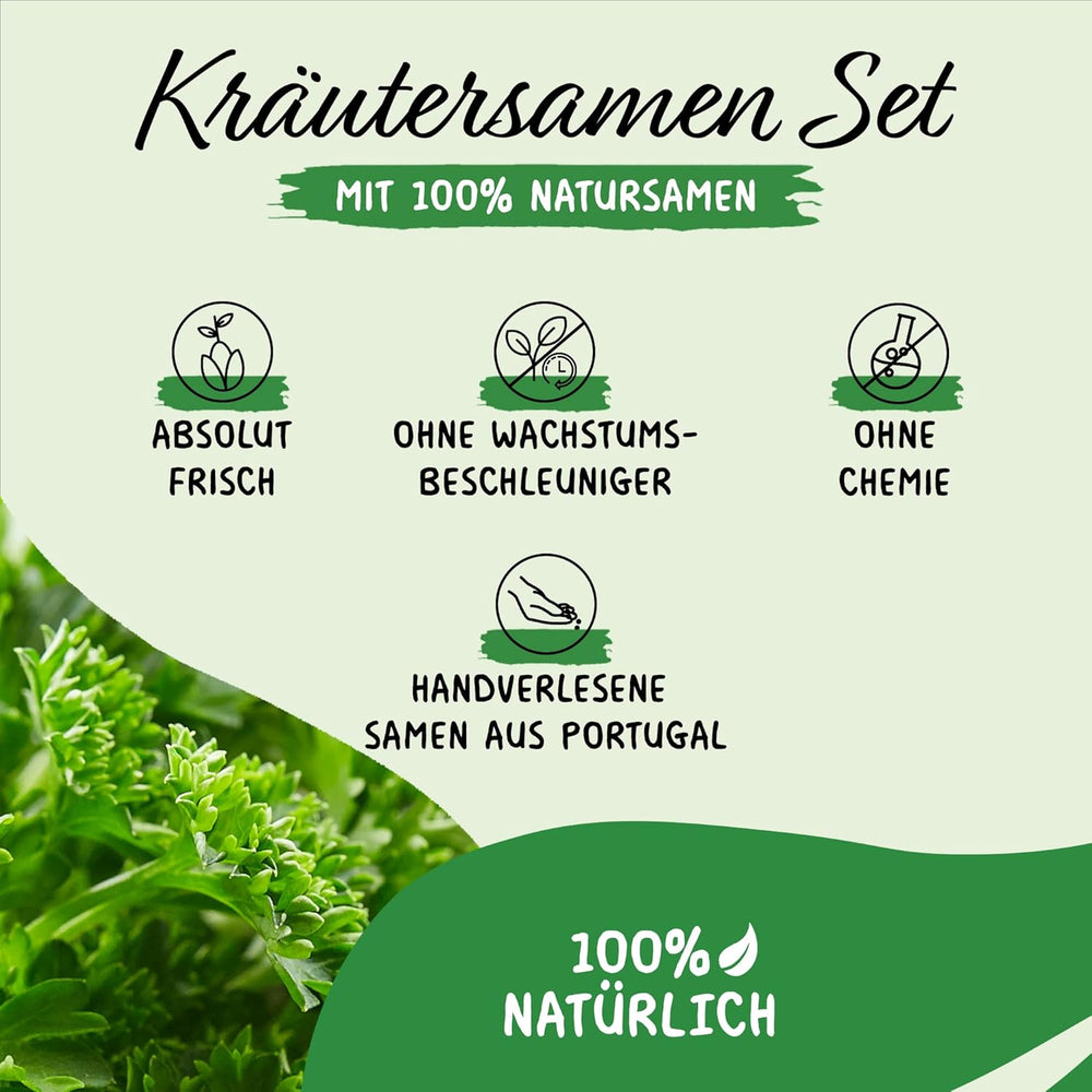 Prademir – Kräutersamen Set aus 16 beliebten Küchenkräutern – Kräuter Anzuchtset mit 100% Natursamen aus Portugal – Kräuter Saatgut aus Oregano, tymianek, majeranek, rozmaryn, koper, bazylika, szałwia uvm